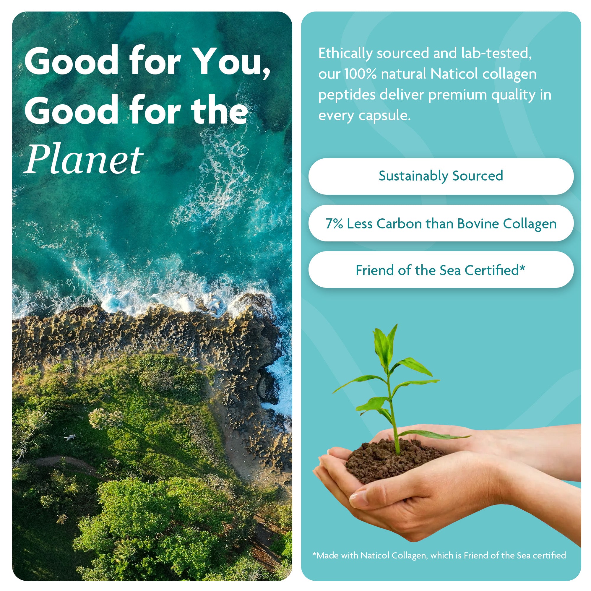 Advanced Collagen for Joints & Bones
